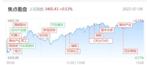 今日个股查询