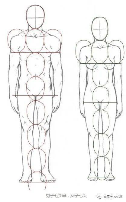 百分之百的纯粹的不掺假的零基础圆雕学生毕业作品