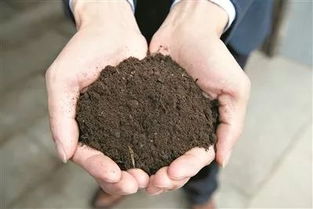 营养土怎么做出来的,如何制作营养土