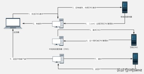 为什么全球只有13台DNS根服务器 (为什么日本有根服务器)