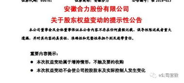 国有占51股职业占49的股份企业年底怎么分红？应该拿利益的多少来分？