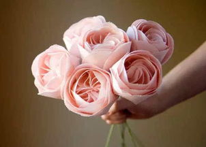朱丽叶玫瑰多少钱一朵,世界上最贵的4种植物？