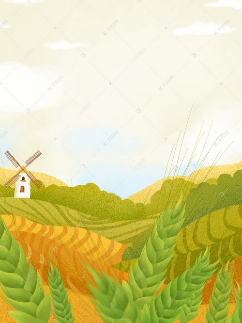 唯美绿色芒种野外麦子成熟背景图片免费下载 千库网 