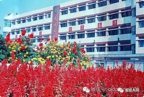 那些年,在大同长大孩子们高考的回忆和铭记 