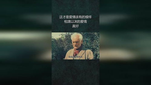 这才是爱情该有的模样,相濡以沫的爱情,真好