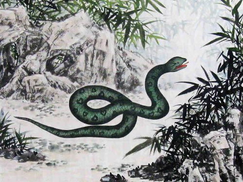 蛇蛇蛇蛇 揭秘1977年属蛇人的毕生寿命,过了43岁属于什么命