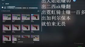 我刚玩两天CSGO就遇到了神仙