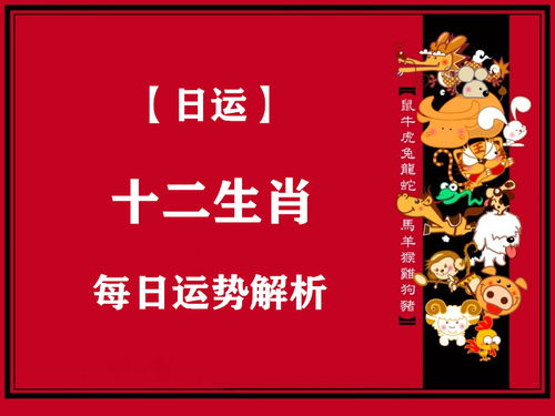 2020年 1月26日 十二生肖运势播报