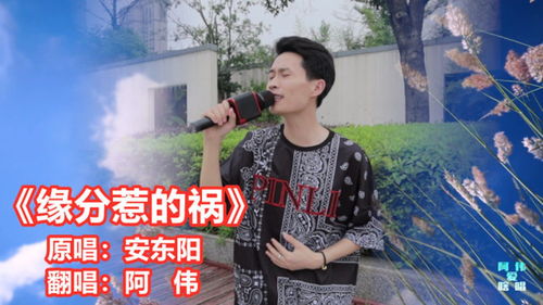 安东阳演唱会(安东阳的演艺经历) 