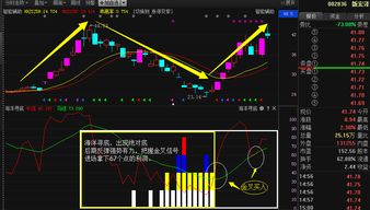 大盘报复性反弹后，B股的前景如何？