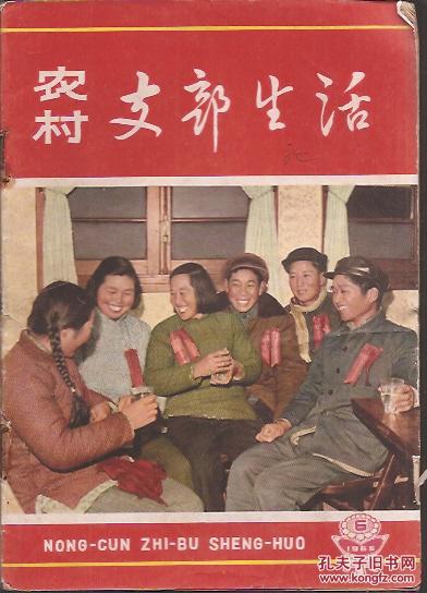 农村支部生活1965年2 4 5 6 7 8 9 10 11 12 16 17 18 20 22 23 24.总第32 54期.17册合售