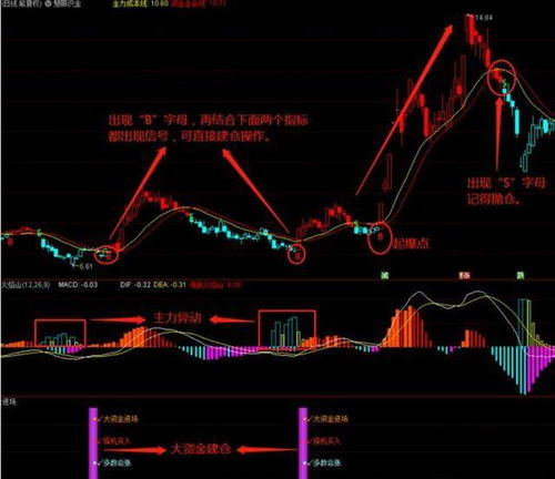 如何利用公积金指标分析股票资金面