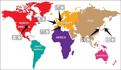 没有这样一张“性爱地图”，老司机也会迷路