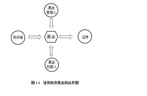 参与基金的主体主要有哪些