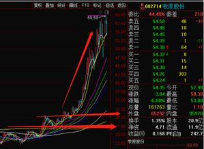 什么叫做通过内幕炒股？谁可以举例说明，内幕炒股是违法的吧？