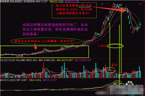 51020 三条均线的方向都向上，通达信的选股公式如何表达？