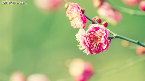 7月下旬,好运降临,势如破竹,贵人相助的三大星座