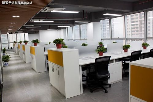 办公室养什么植物旺事业