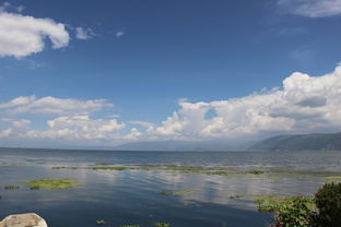 面朝洱海,冬暖花开 ,大理旅游攻略 马蜂窝 