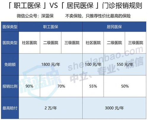 公司没给上保险给社保