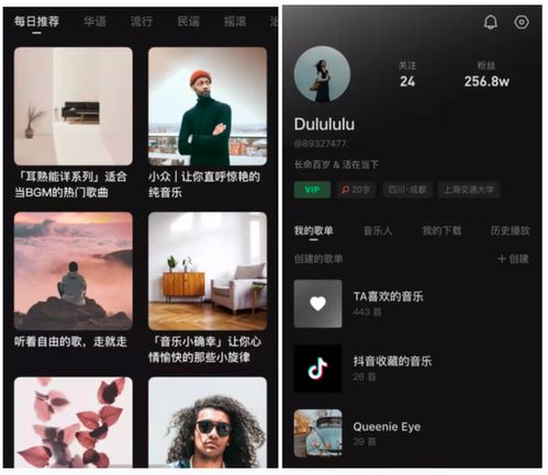 独家 抖音测试首款音乐App汽水音乐,腾讯网易迎来新对手