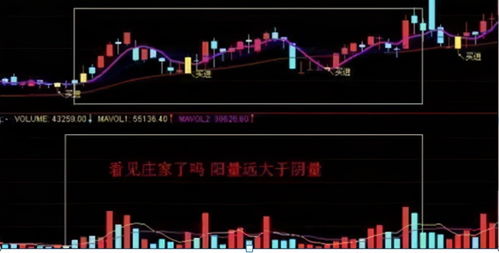 鹏翎股份主力资金在08月03日大量撤离