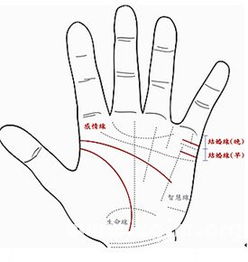 什么样的手相感情被动消极