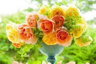 送情人一朵黄玫瑰代表什么意思 