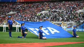 女足世界杯 2019法国女足世界杯小旗手招募