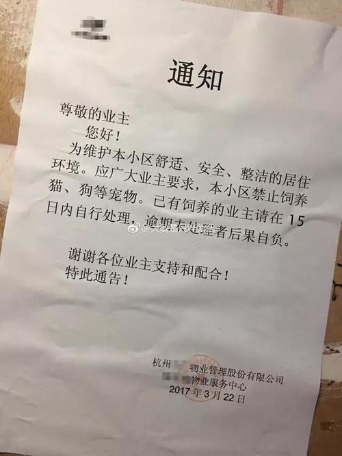 杭州1小区物业贴通知禁止业主养宠物 网友 管的真宽 