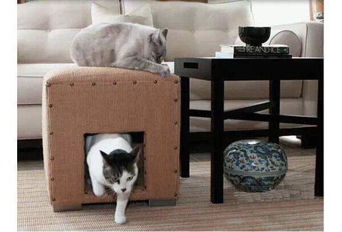 猫奴家居装修新花样 专属喵星人的猫舍设计