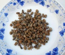 曲霉豆豉的传统制作工艺 