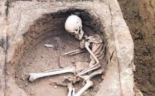 陕西一农民盖猪圈挖出了186具尸体,专家勘验后惊呼 秦始皇祖坟