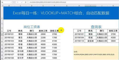 GeneTool Lite V1.0和Primerprimer 5.0这两个软件是哪个公司开发的