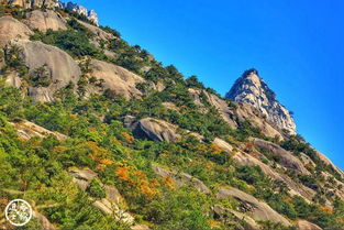 西海大峡谷,黄山这一处景点景色美游客少,惊艳世人 