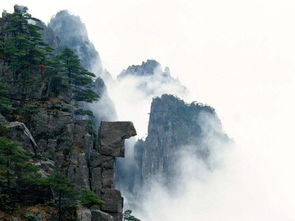 张森成 家乡的云雾山