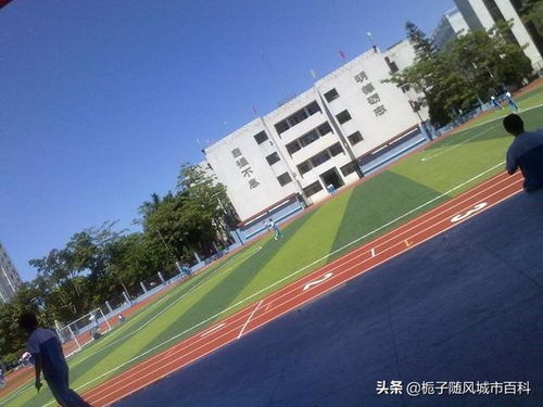 汕尾市新城中学是重点高中吗(汕尾市新城中学的介绍)