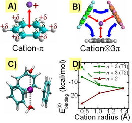 Cation3π 阳离子与碳的一种新的作用形式 