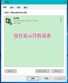 win10麦克风插上了没显示
