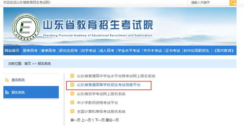 山东省招生考试院官方网(山东省教育招生考试院登录入口)