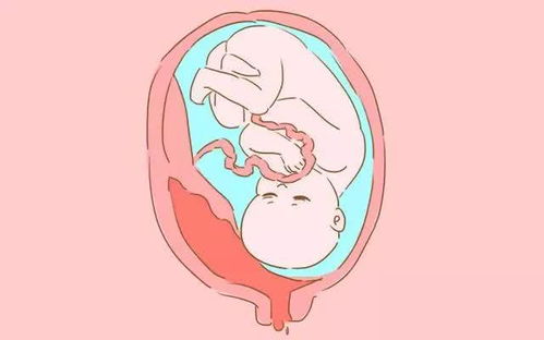原创孕期准妈妈有这3种感受时，说明胎宝宝饿了，准妈赶紧补充食物吧