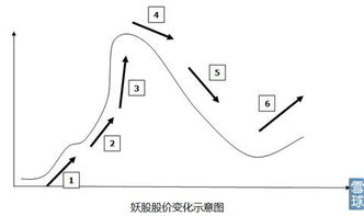 三毛 特力A 一只妖股的形成与发展演化规律 