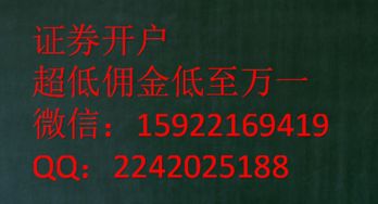 新开户的股民有什么特点？