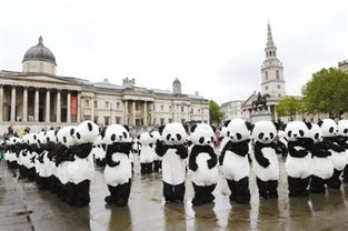 伦敦庆祝 熊猫保护意识周 开幕