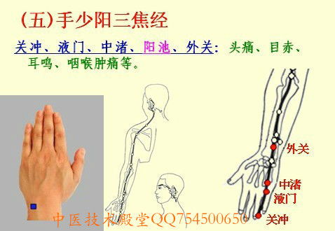 老中医秘传的经络五行图,一人收藏,全家受益