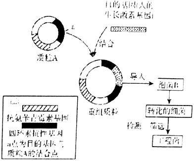 怎么判断差异表达的基因