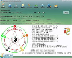 取名软件界面预览 取名软件界面图片 