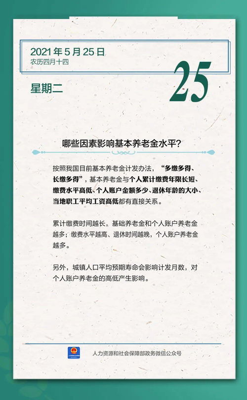 石家庄人社怎么交养老保险费石家庄人社一体化服务平台1.2.23