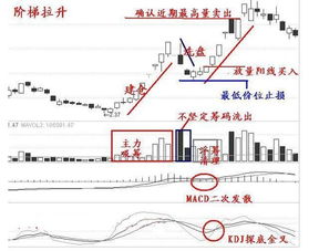 股票是开门涨停一直封到收盘，第二天继续涨的可能性大吗？