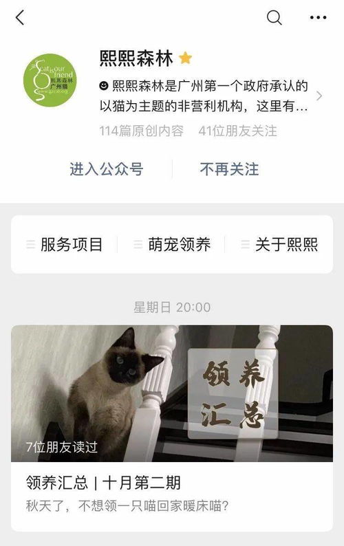 熙熙小编招募令丨优秀的你在哪里